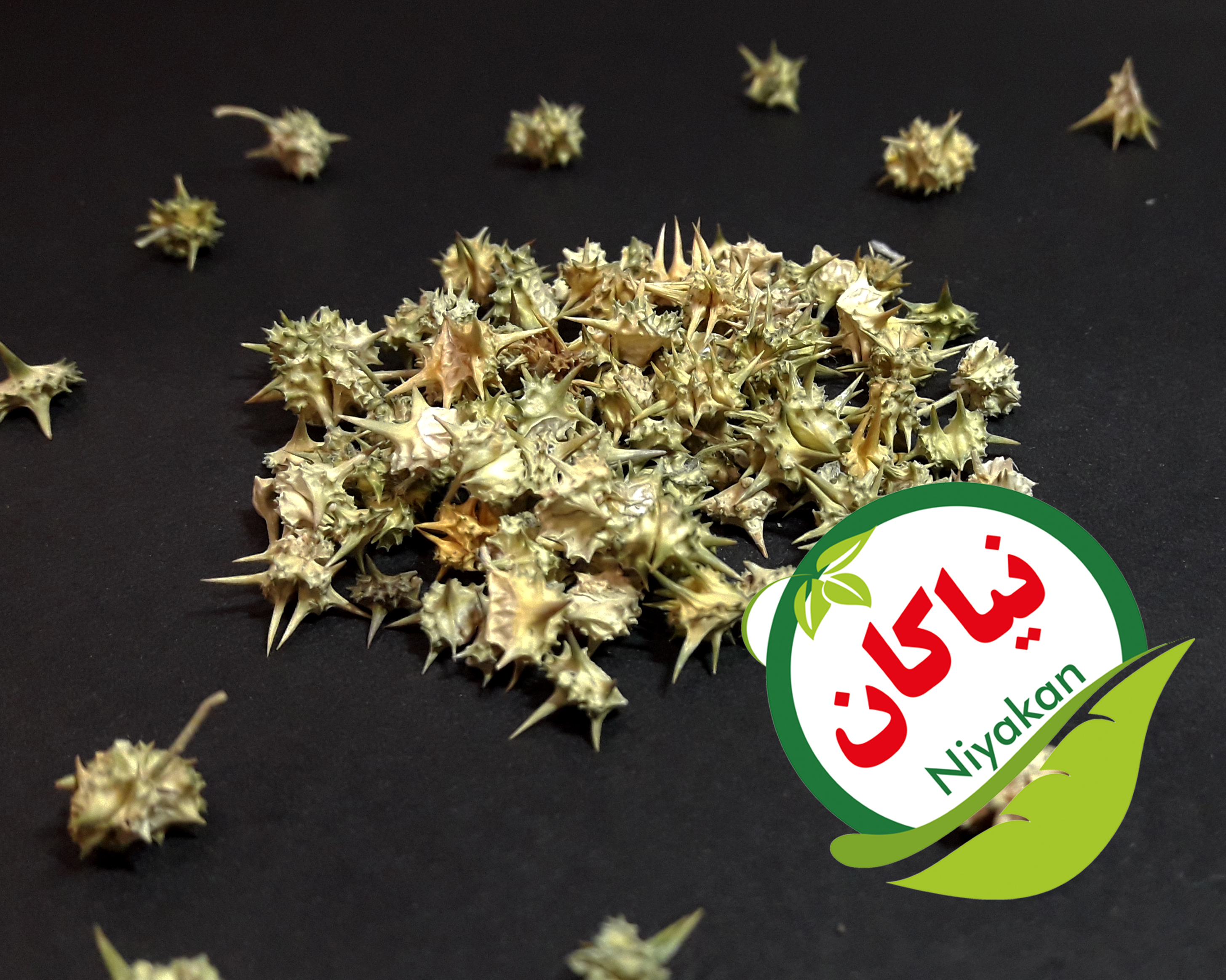 گیاه خارخاسک 100 گرمی