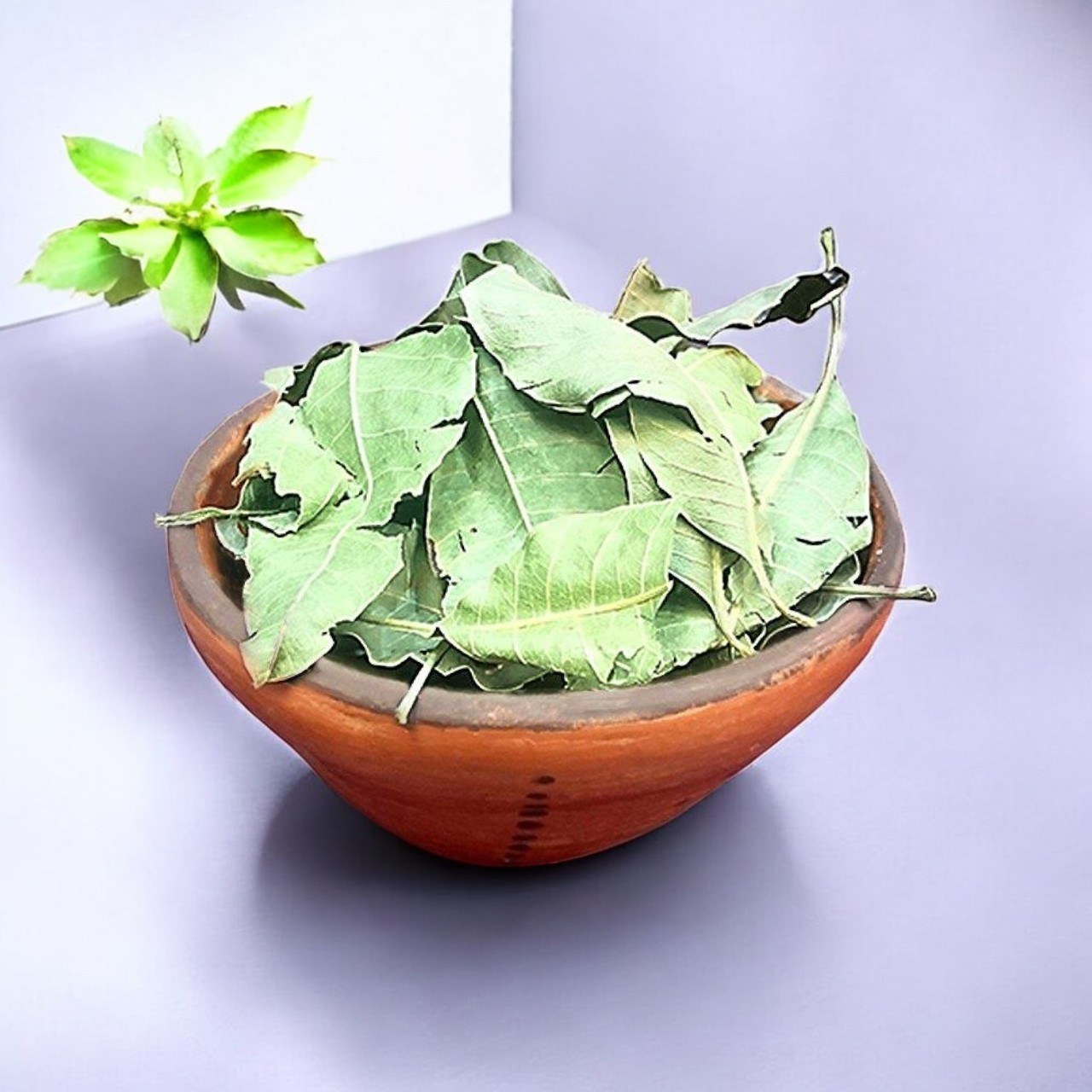 برگ انبه 100گرمی